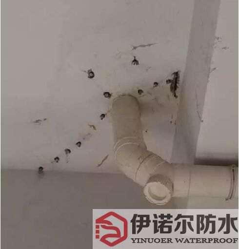 江蘇蘇州防水工程的基本內容是什么？